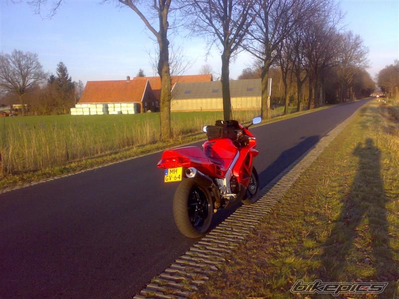 Photo 1133621