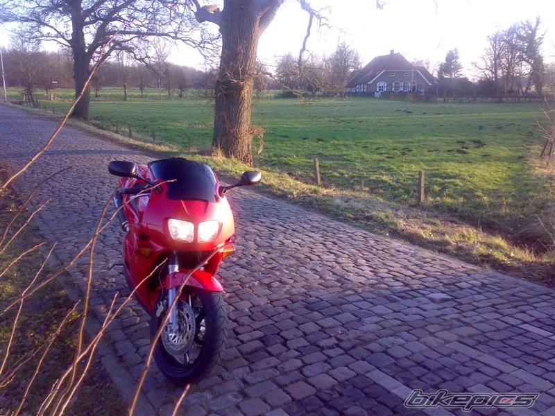 Photo 1133622