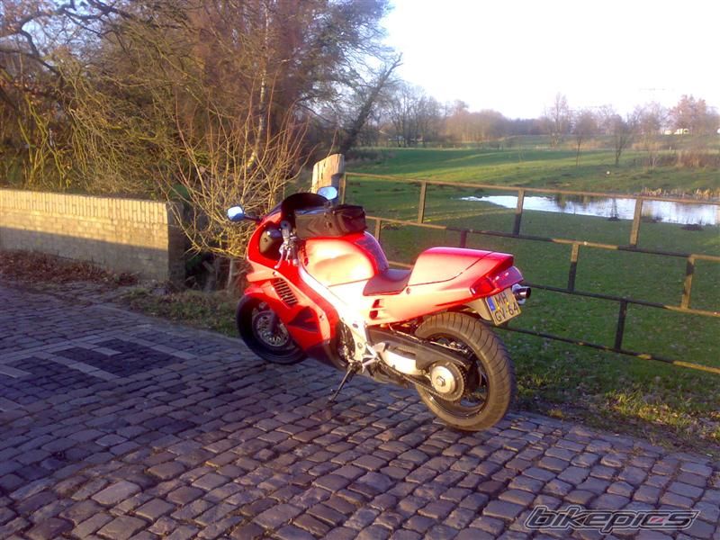 Photo 1133624