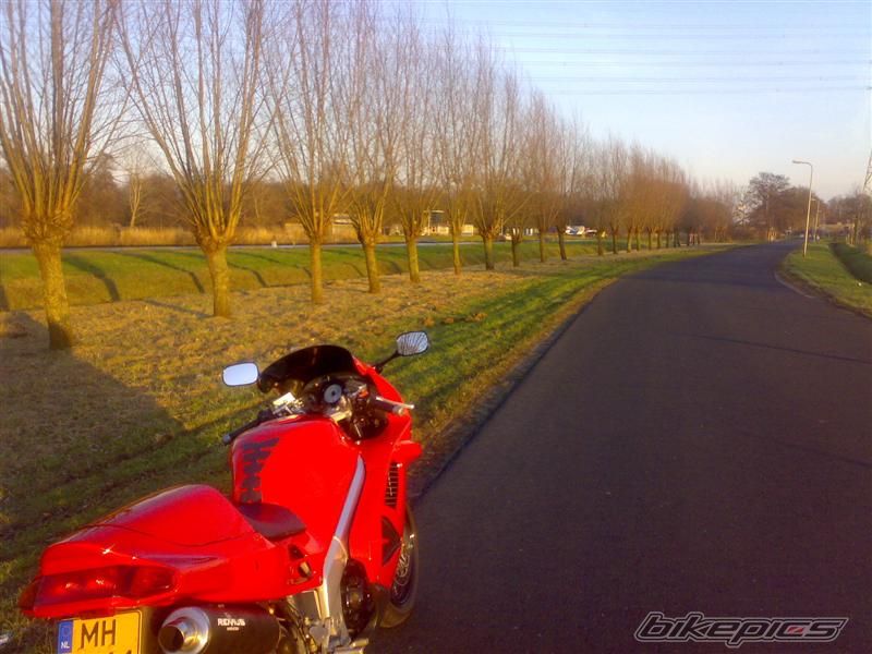 Photo 1133627