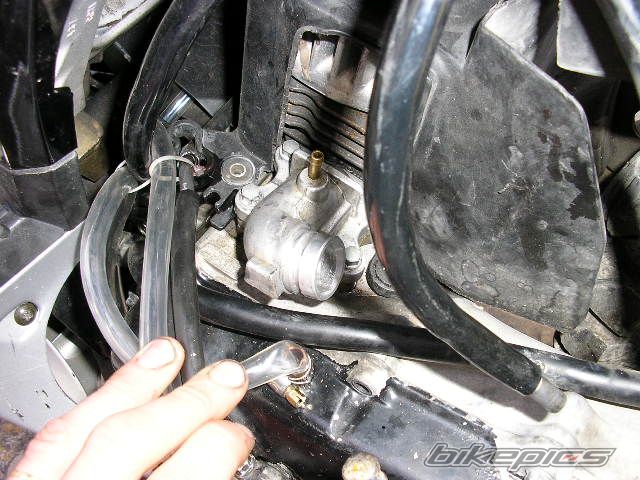 Photo 1133690