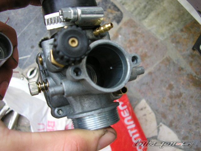 Photo 1133692