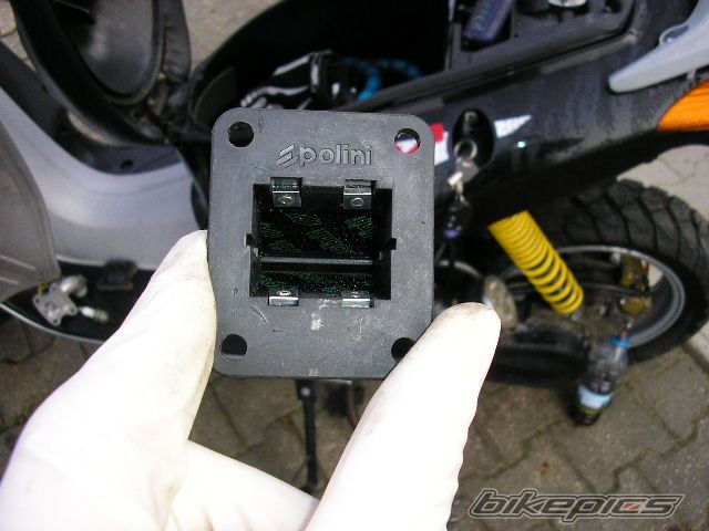 Photo 1133701
