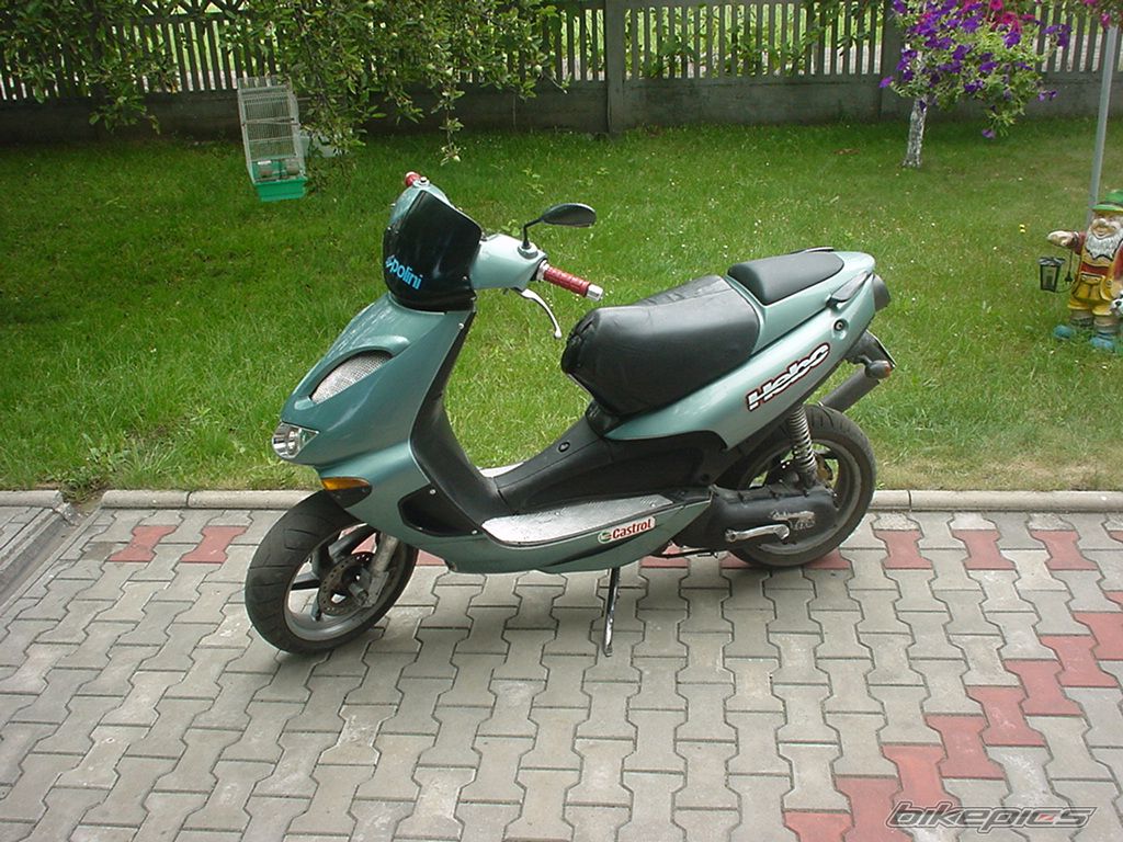 Photo 1133718