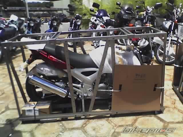 Photo 1133735