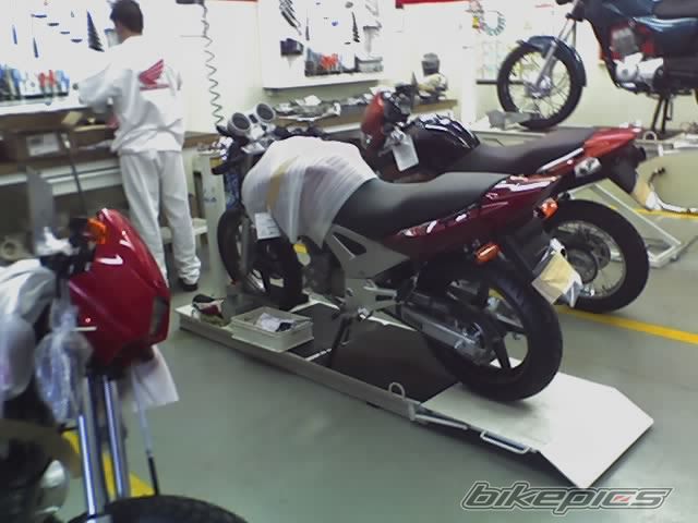 Photo 1133742