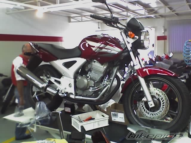 Photo 1133743
