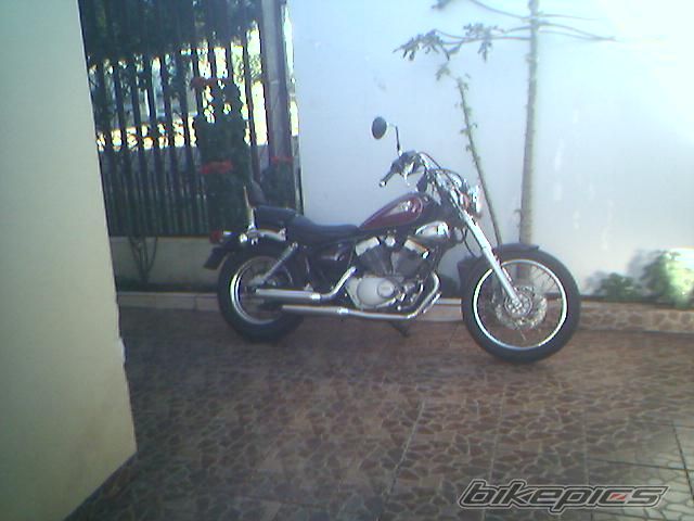 Photo 1133755
