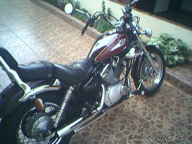 Photo 1133761