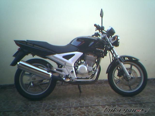 Photo 1133775