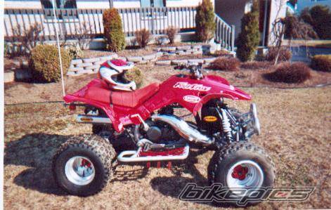 Photo 113382