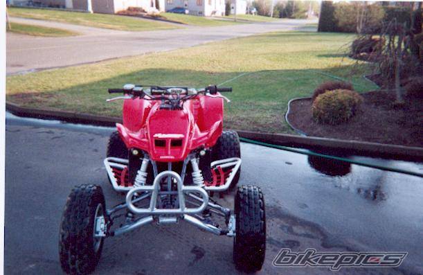 Photo 113385