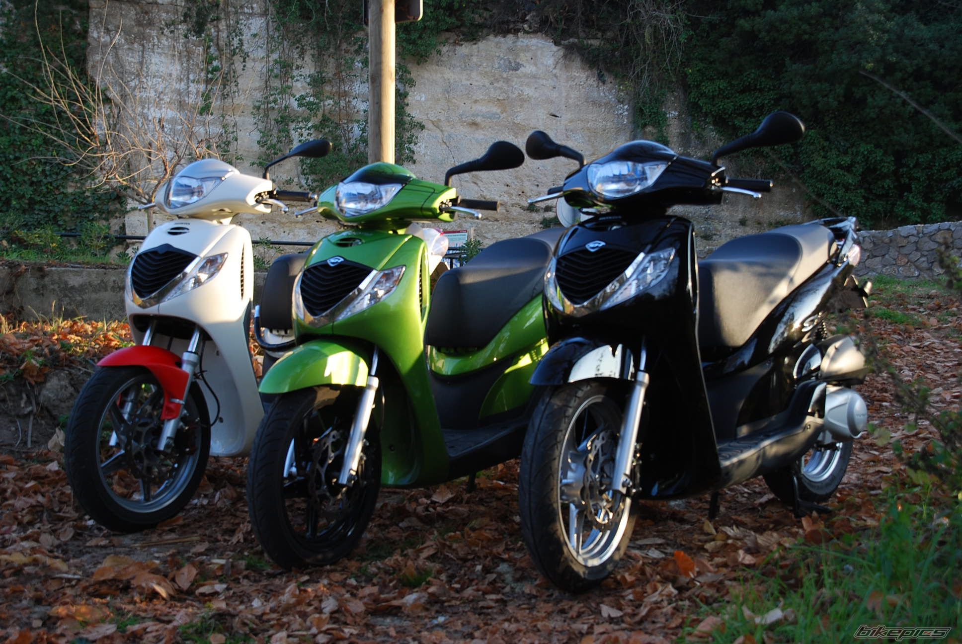 Bike Photo 1133886