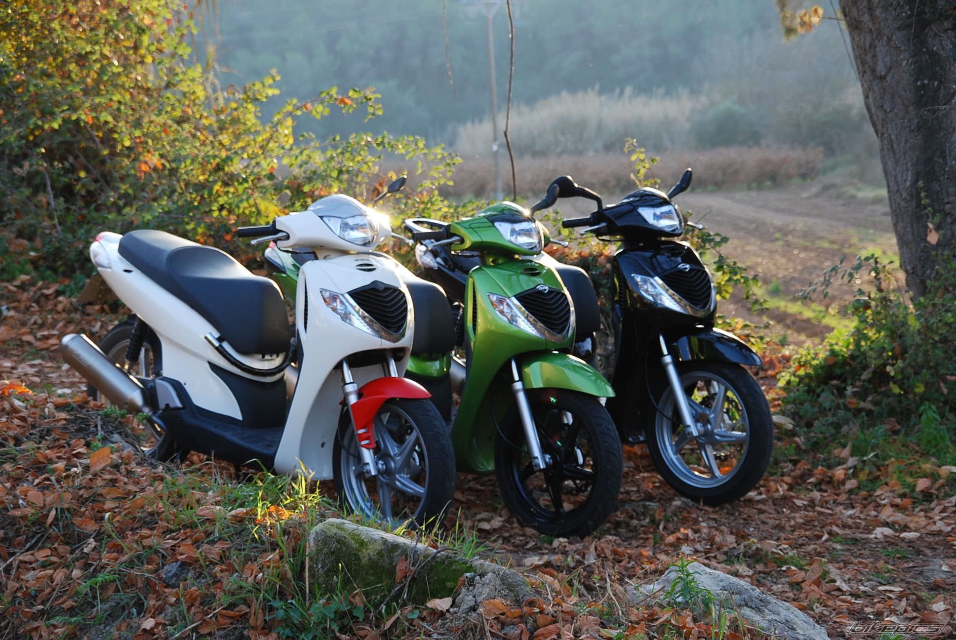 Bike Photo 1133887
