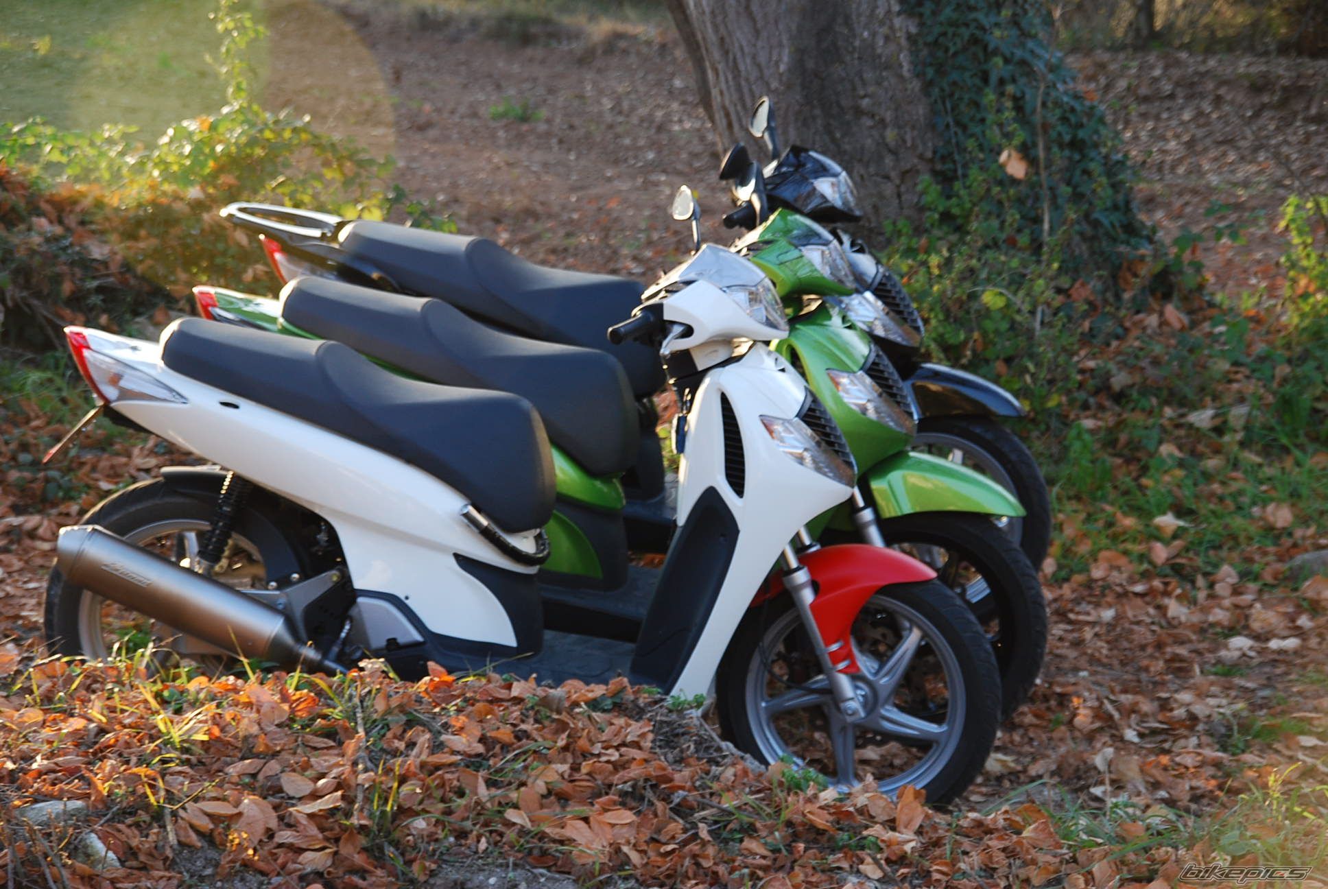 Bike Photo 1133889