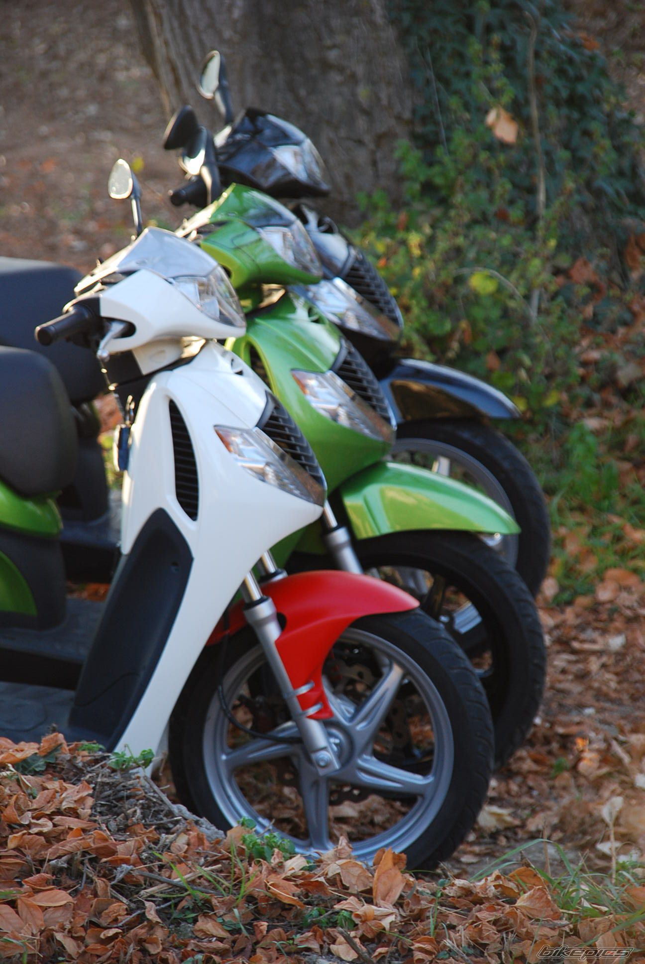 Bike Photo 1133890