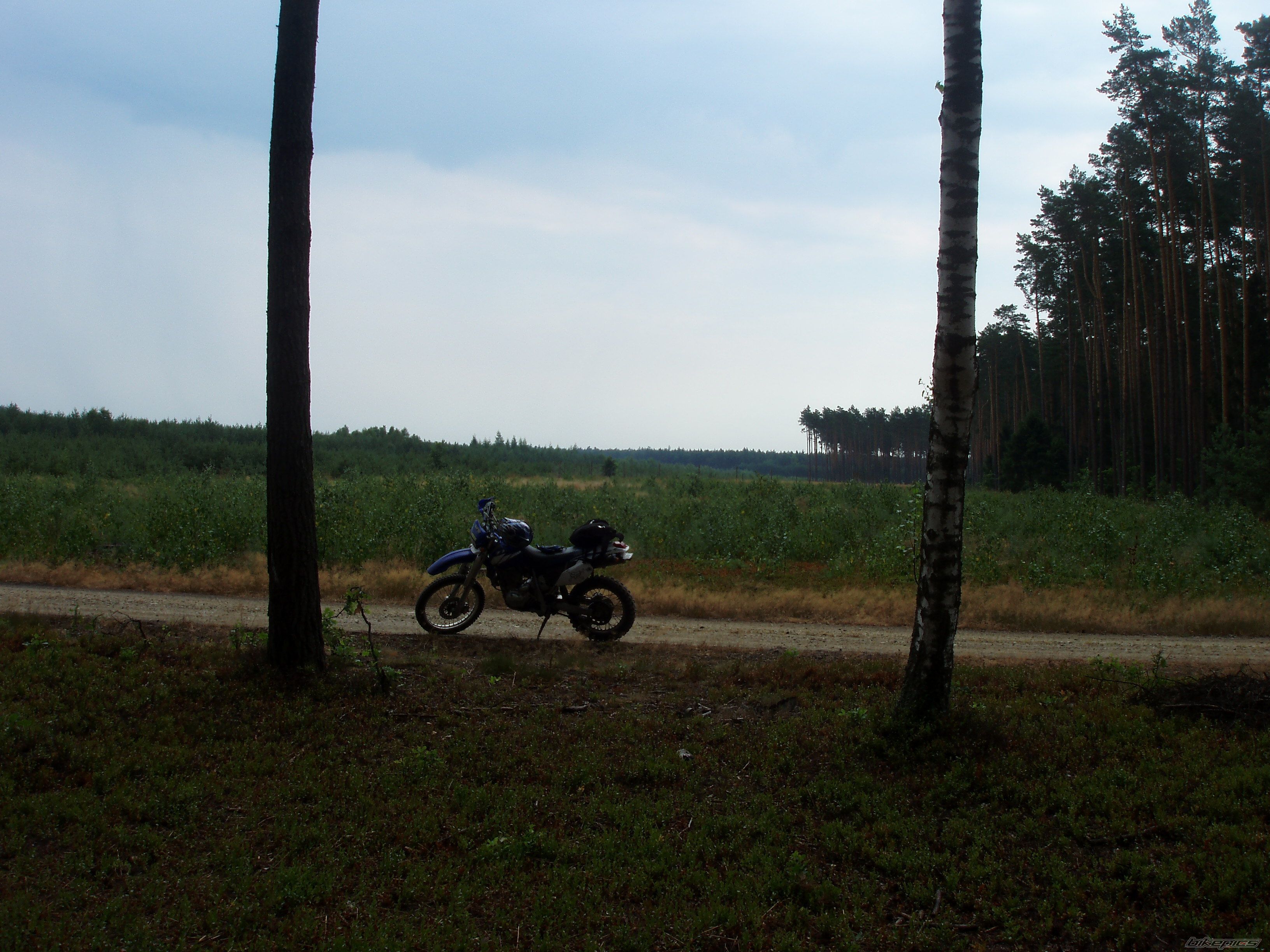 Bike Photo 1133925