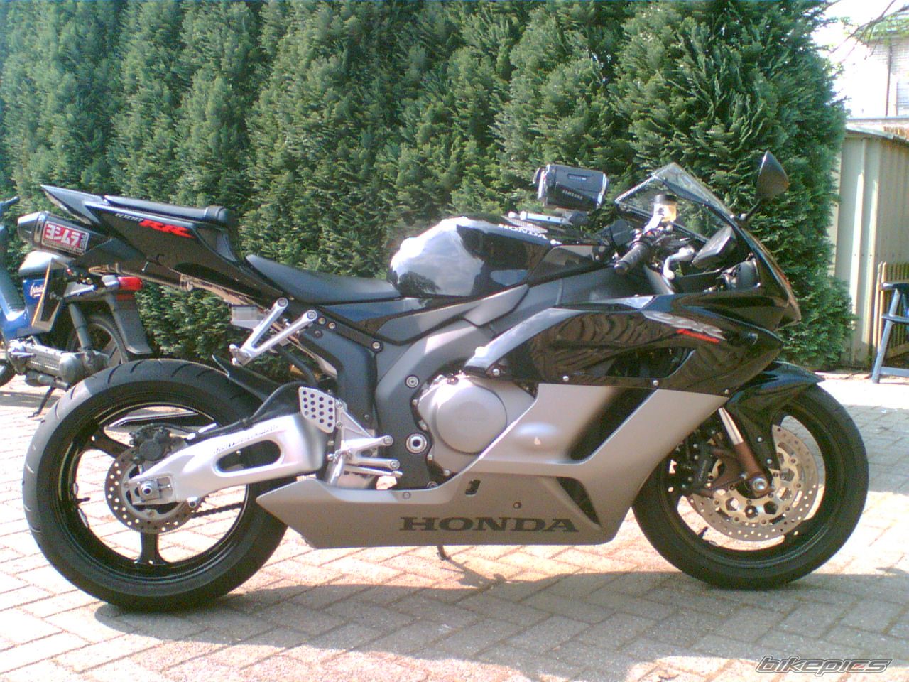 Photo 1133944