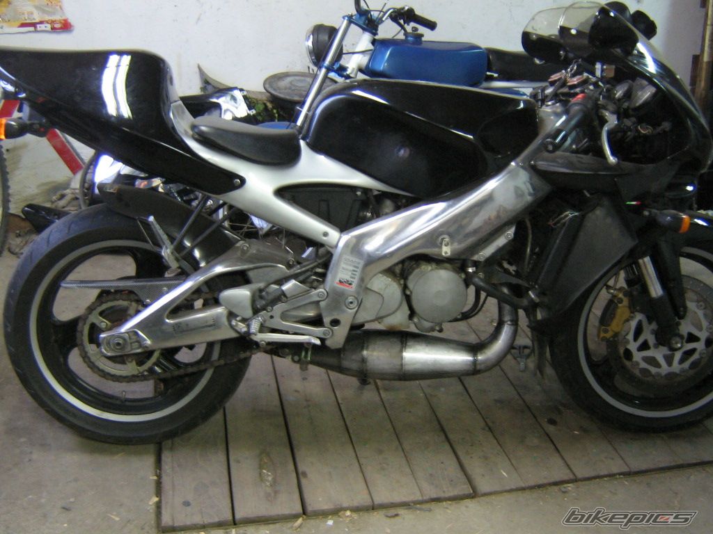 Photo 1133974