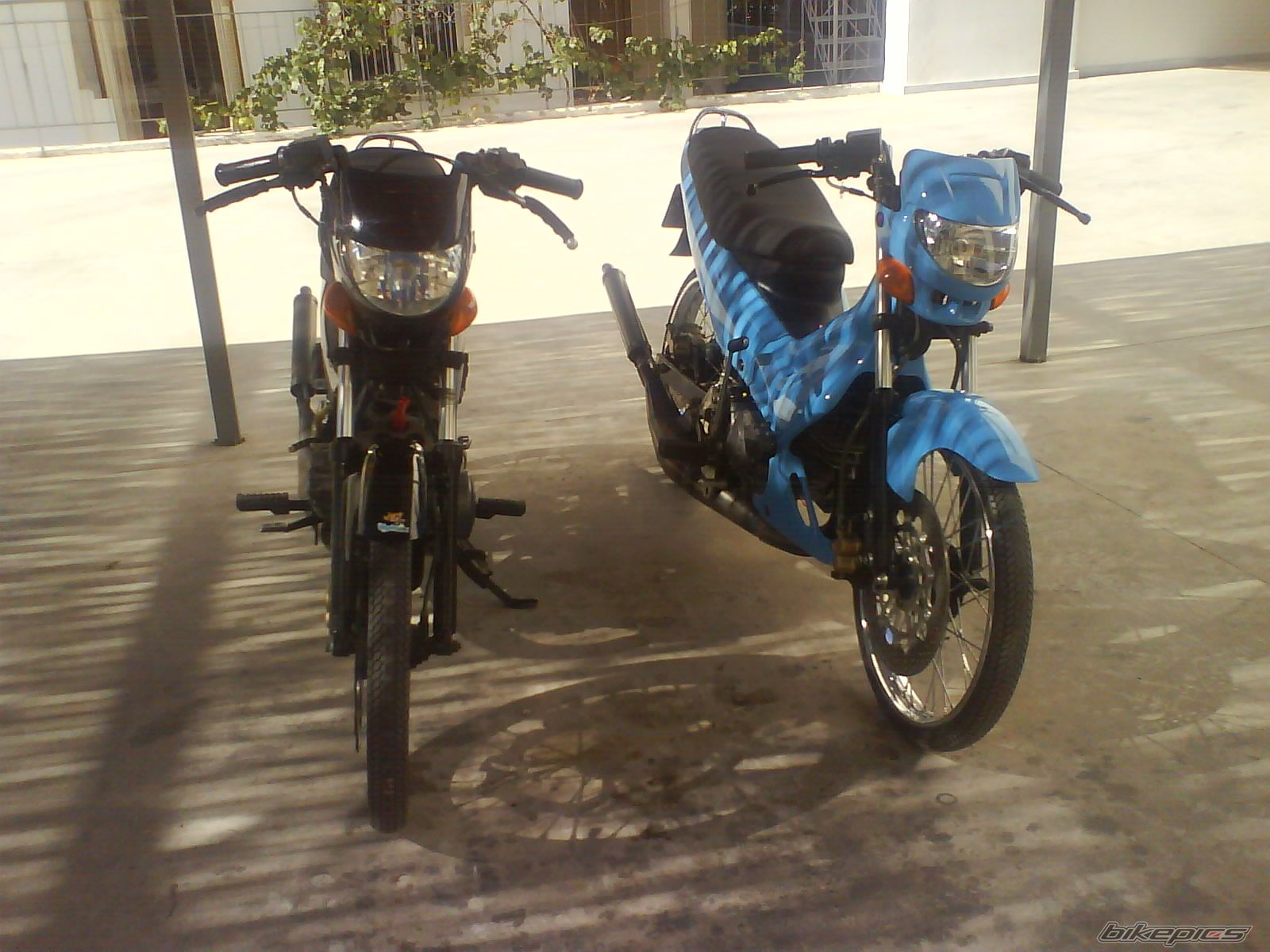 Photo 1134057