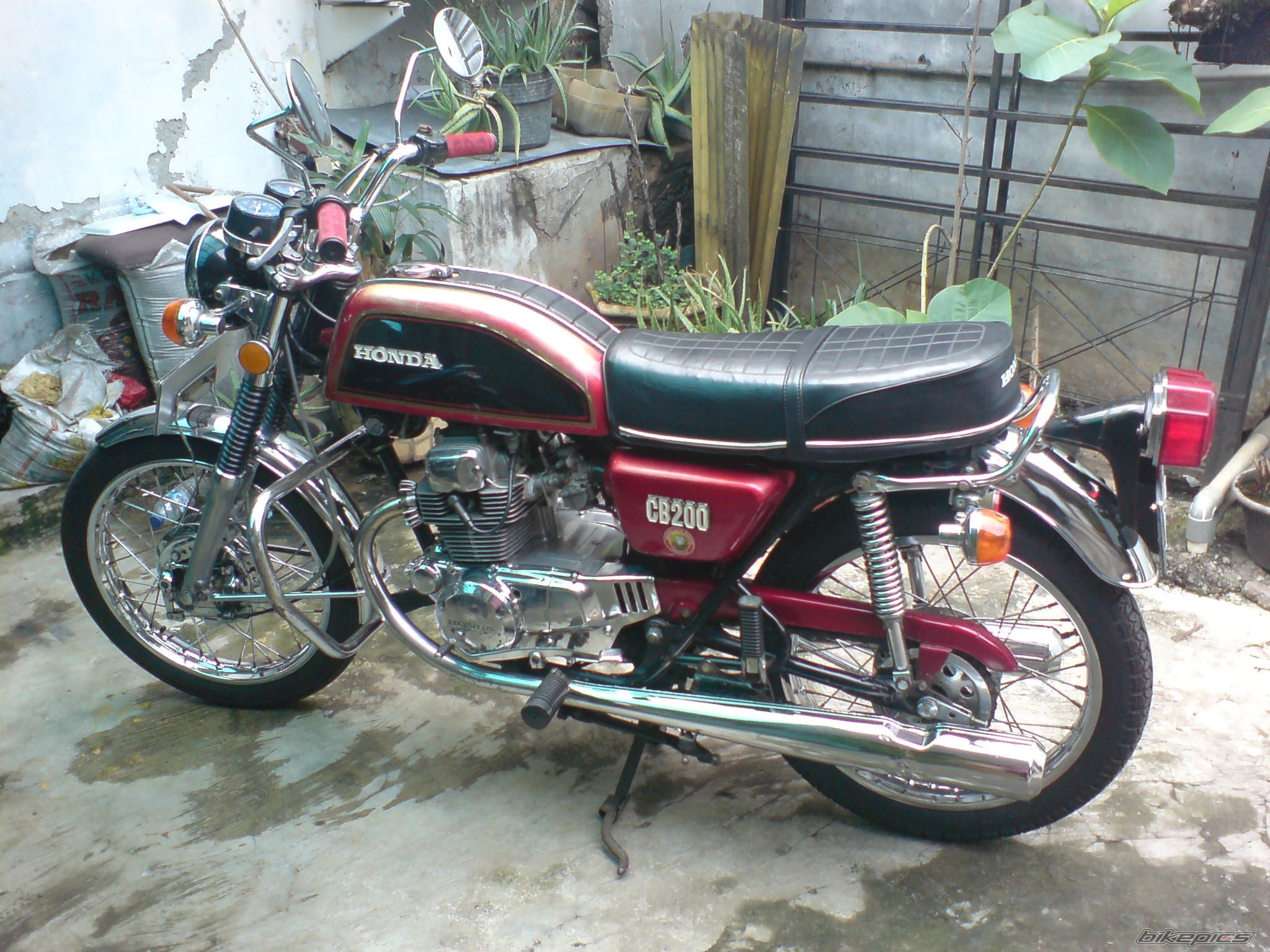 Photo 1134178