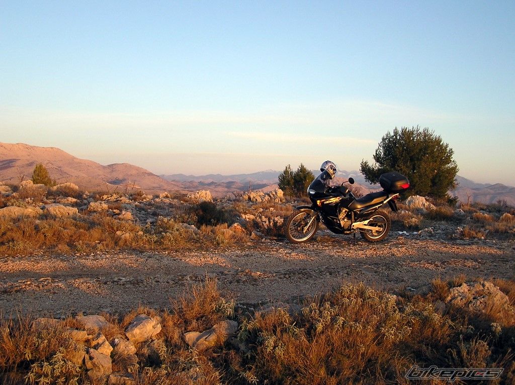 Photo 1134190