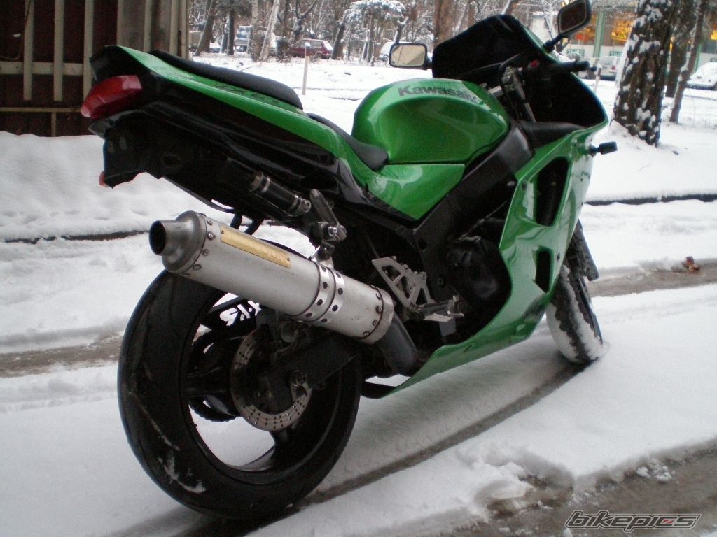 Photo 1134213