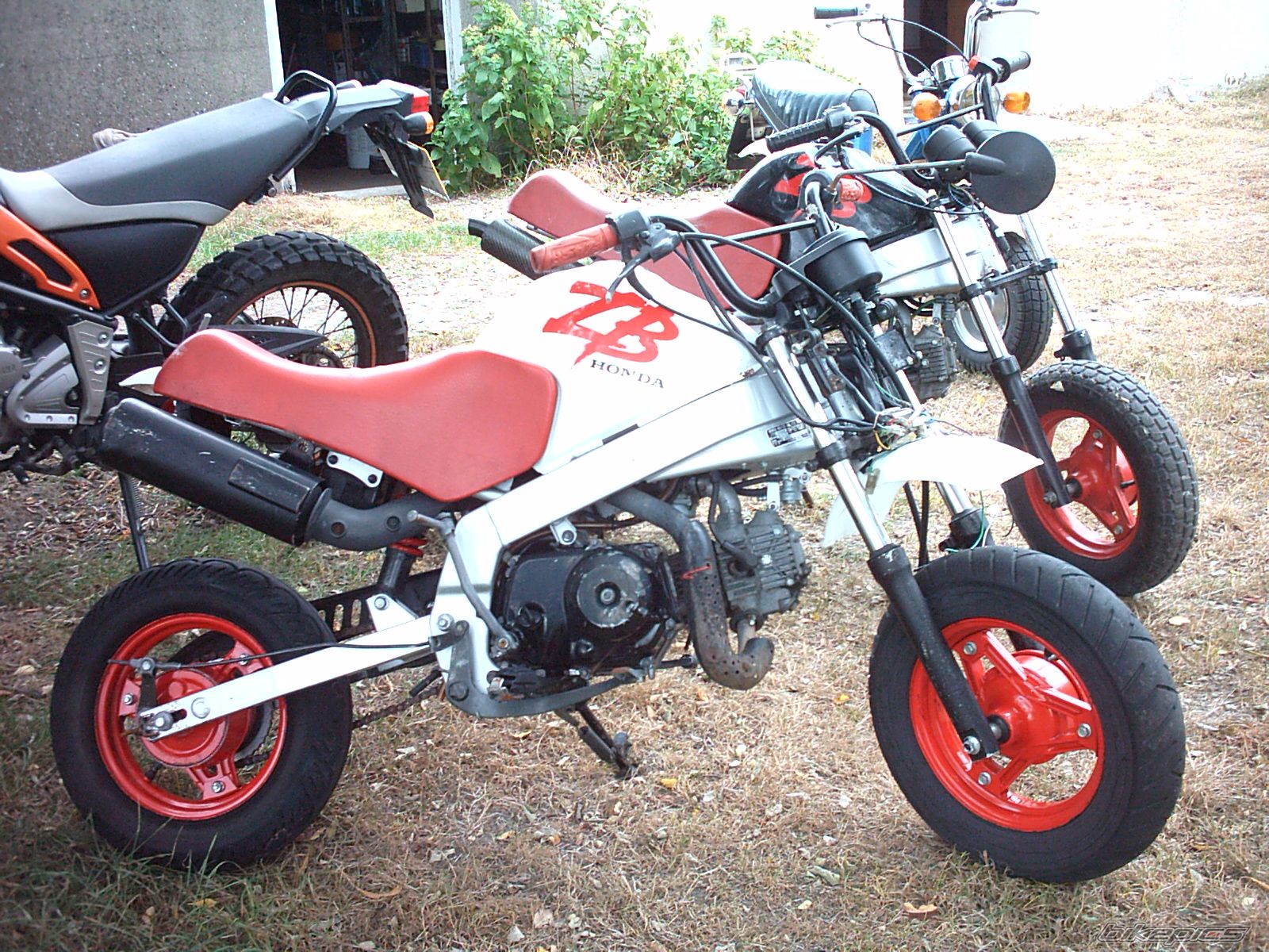 Photo 1134284