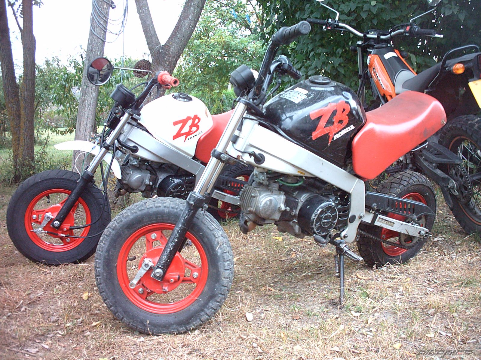 Photo 1134287