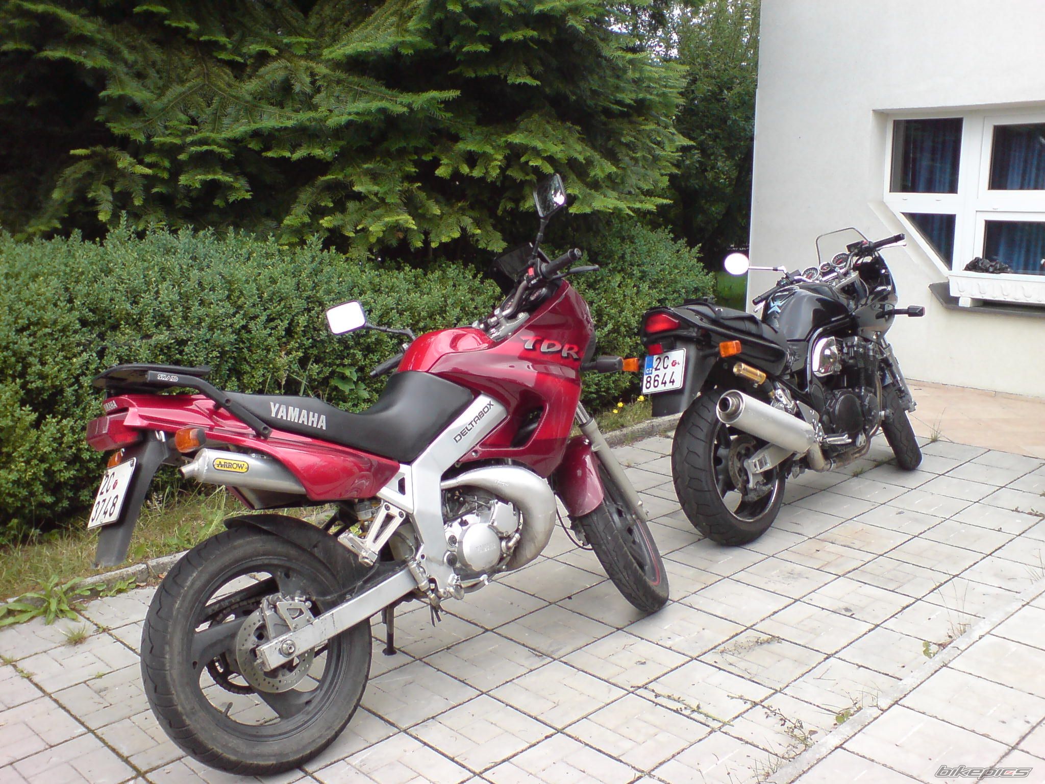 Photo 1134288