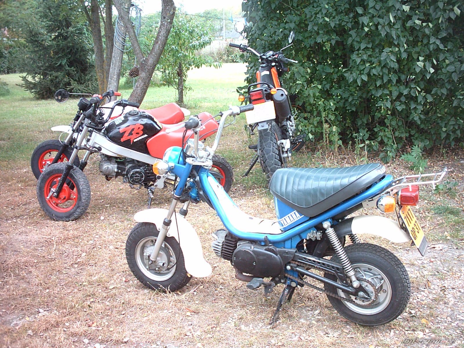 Photo 1134289