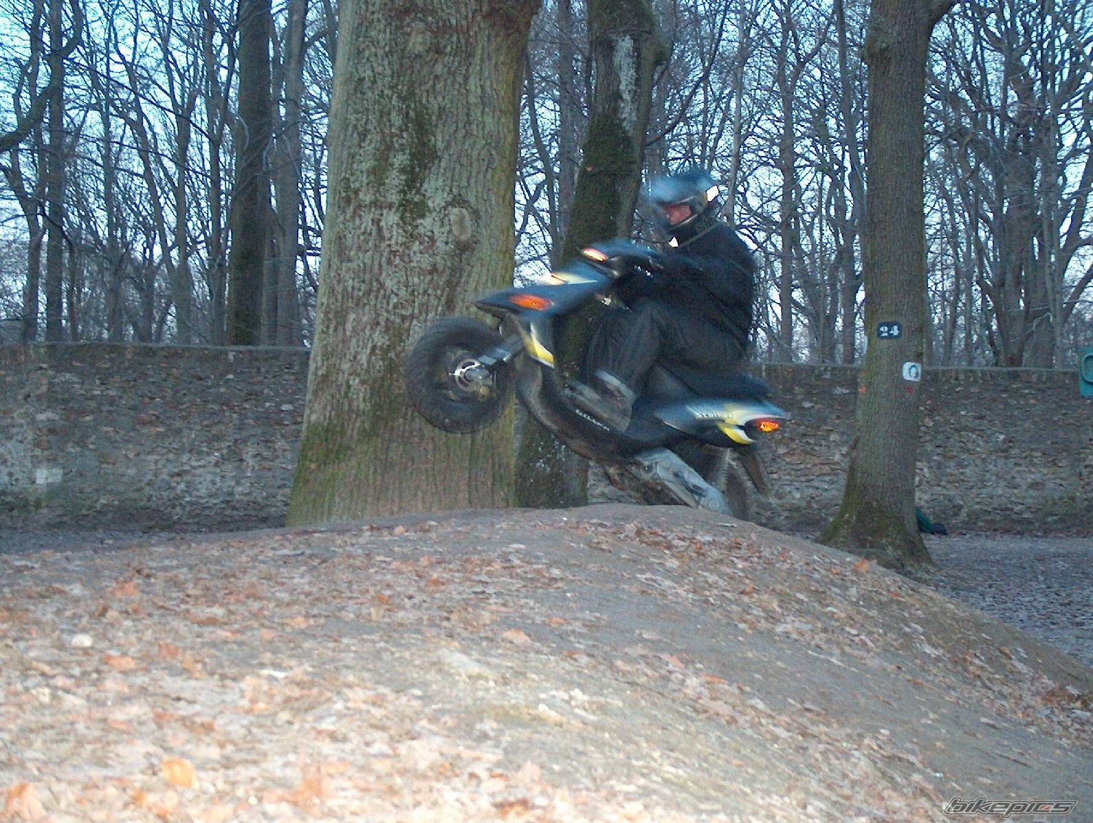 Bike Photo 113429
