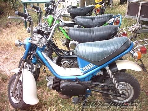 Photo 1134292