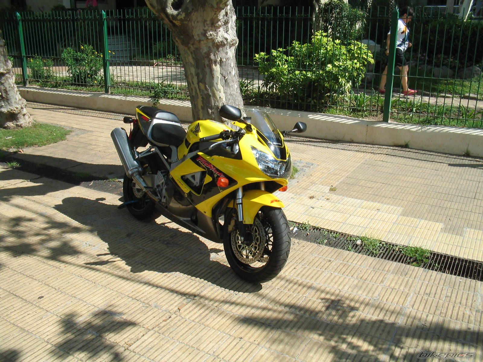 Photo 1134293