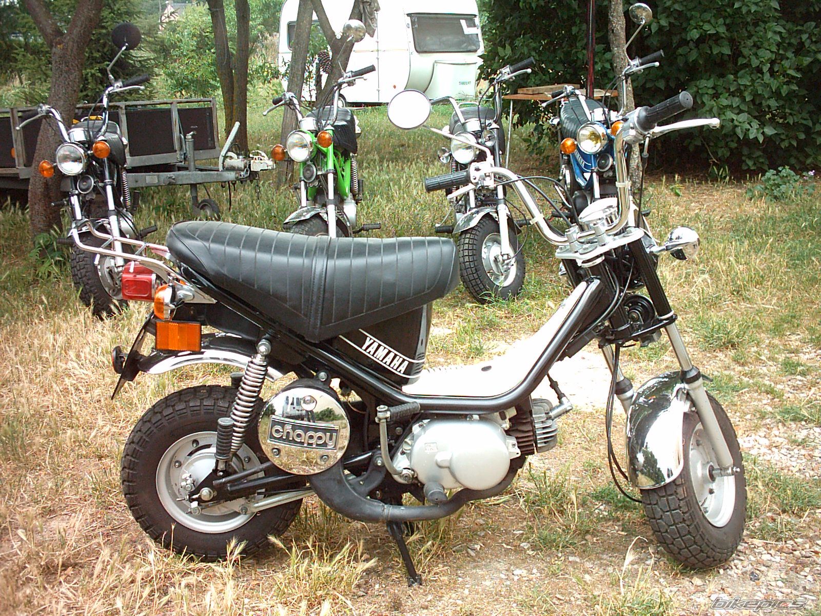 Photo 1134294