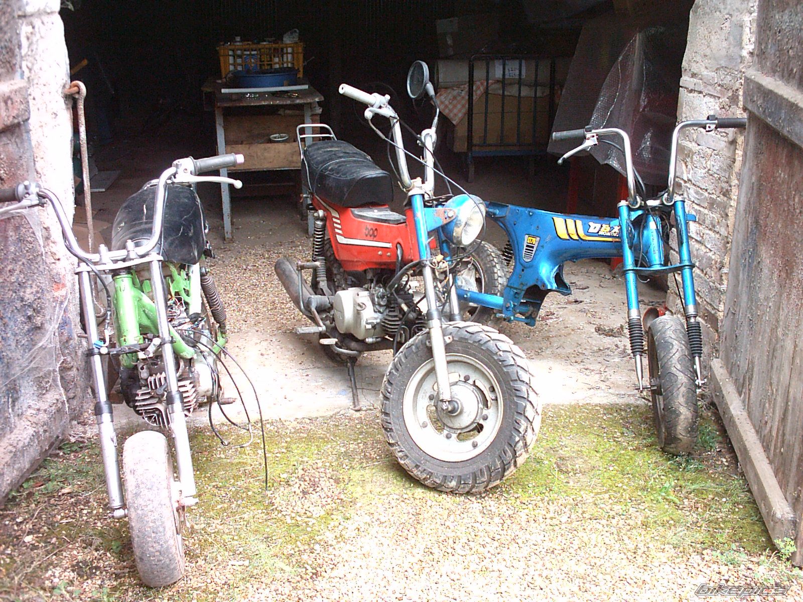 Photo 1134298