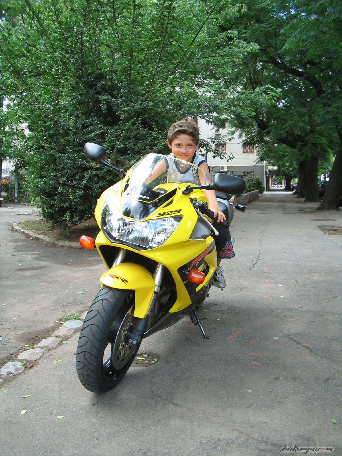Photo 1134308