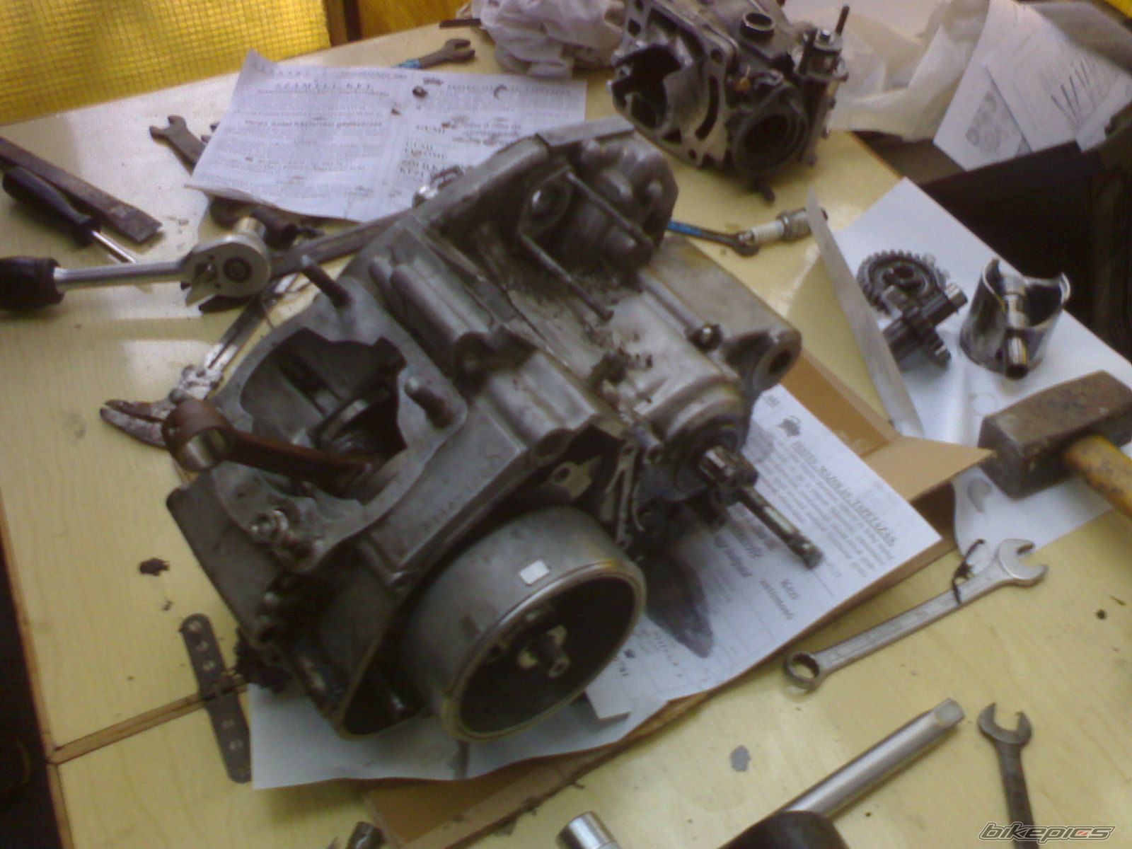 Photo 1134389