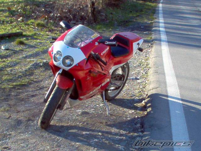 Photo 113441