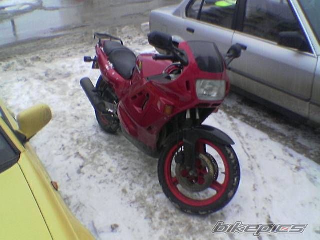 Photo 1134429