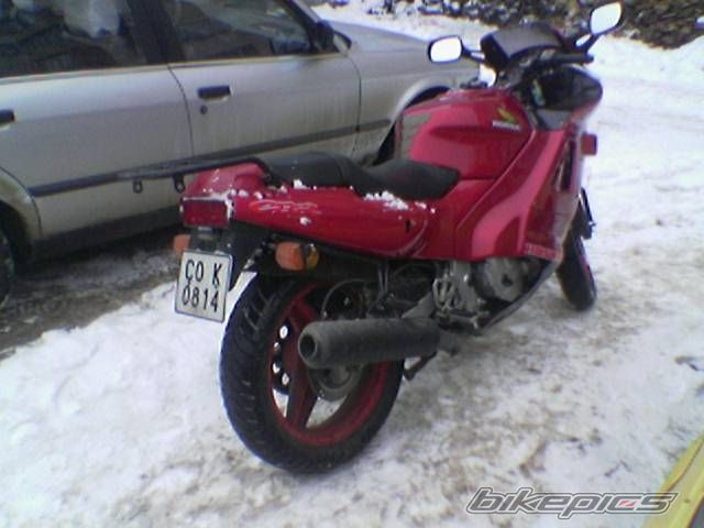 Photo 1134432