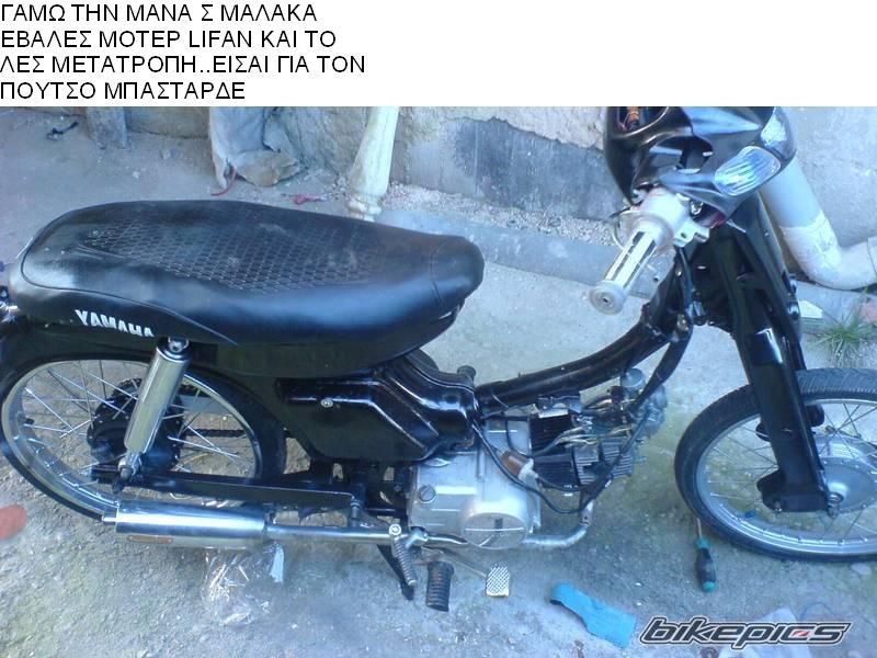 Photo 1134464