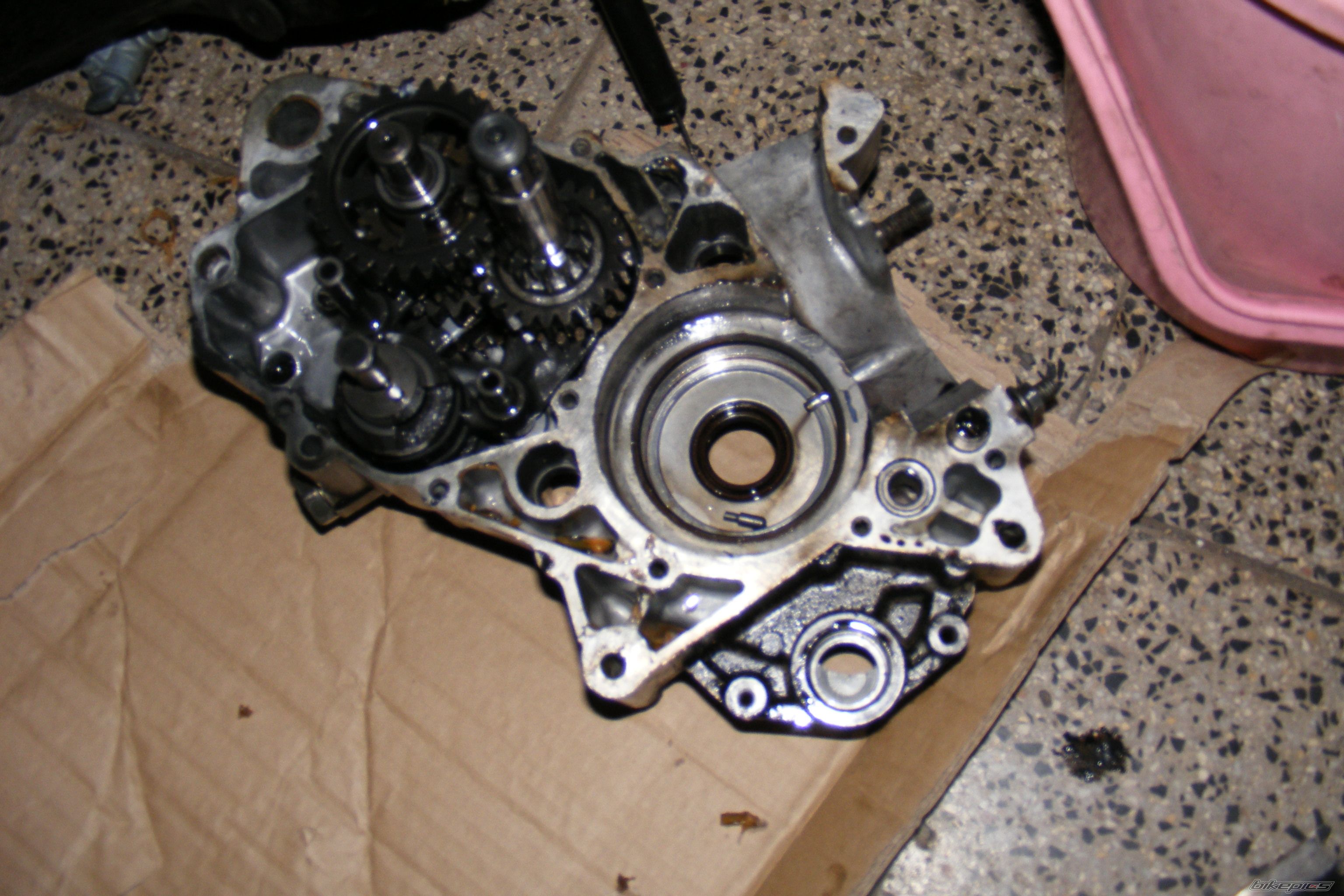 Photo 1134528