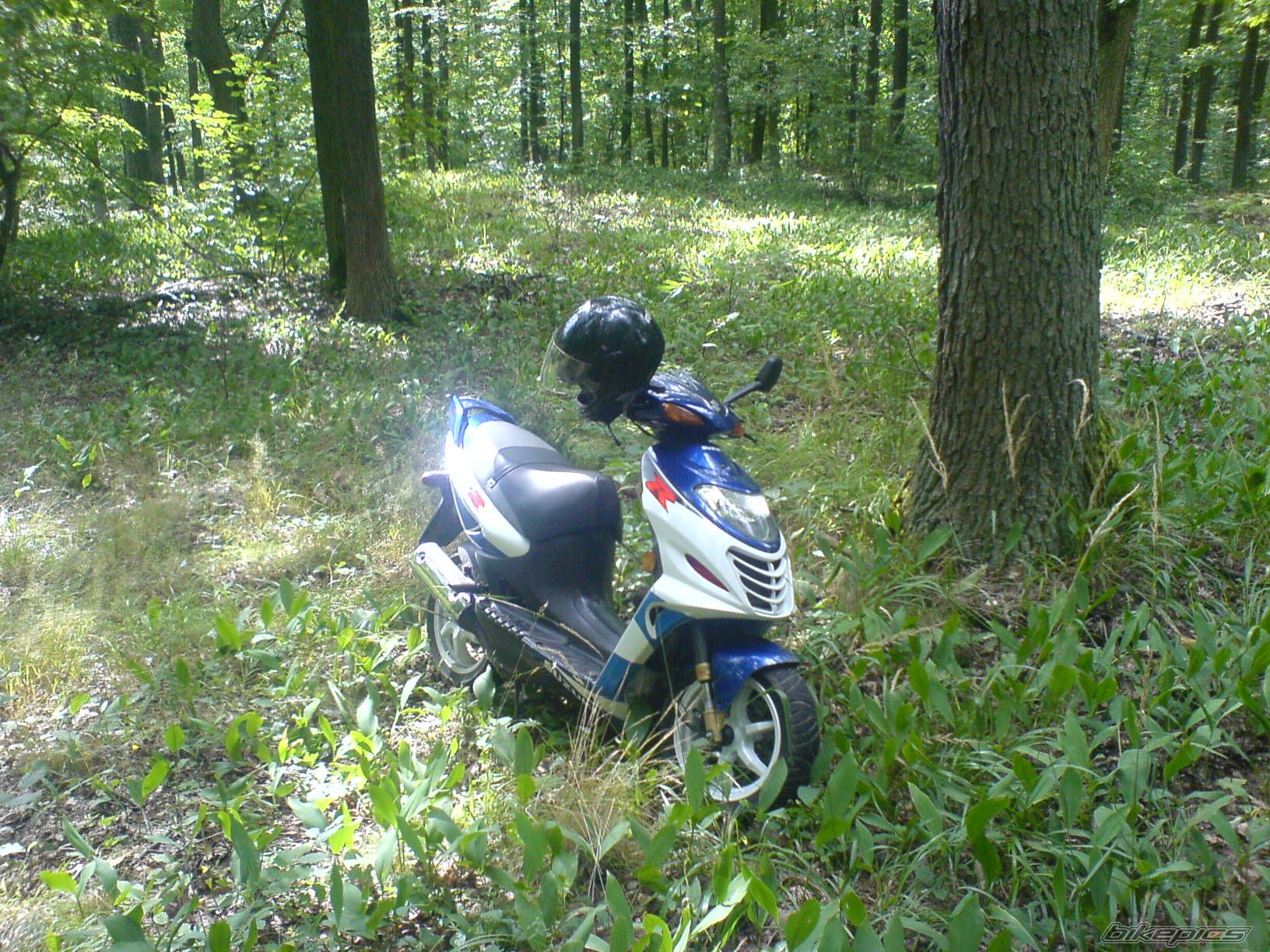 Photo 1134567
