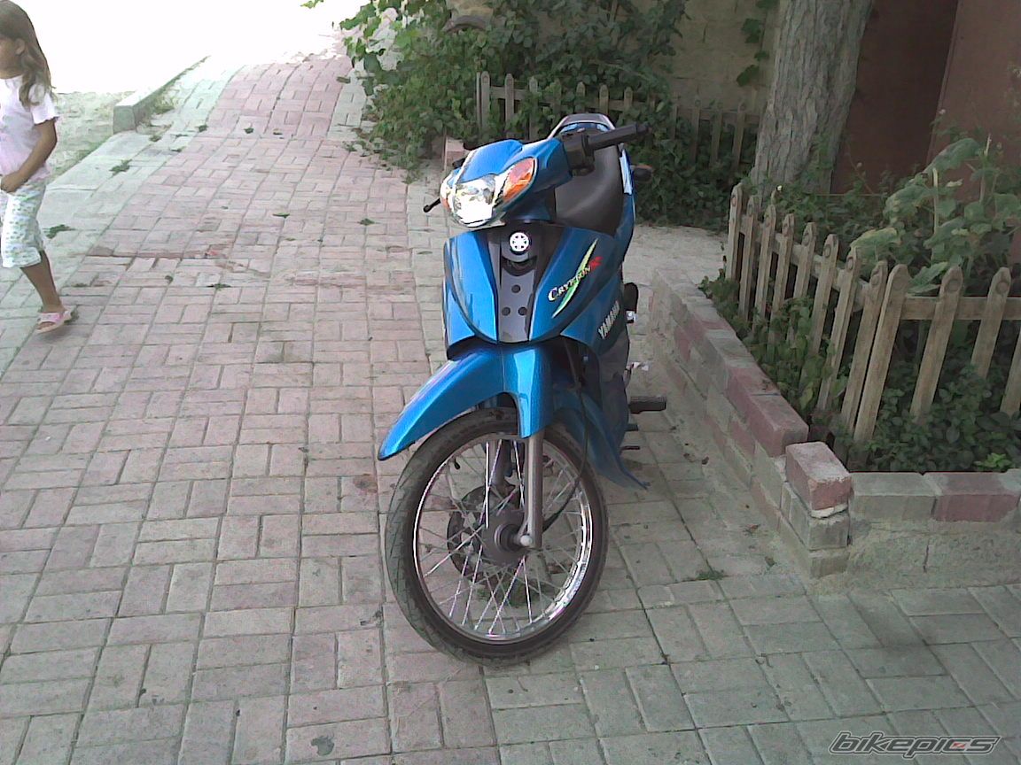 Photo 1134596