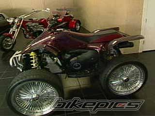Photo 113463