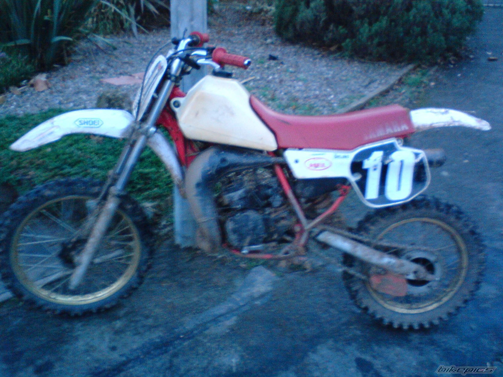 Bike Photo 1134656