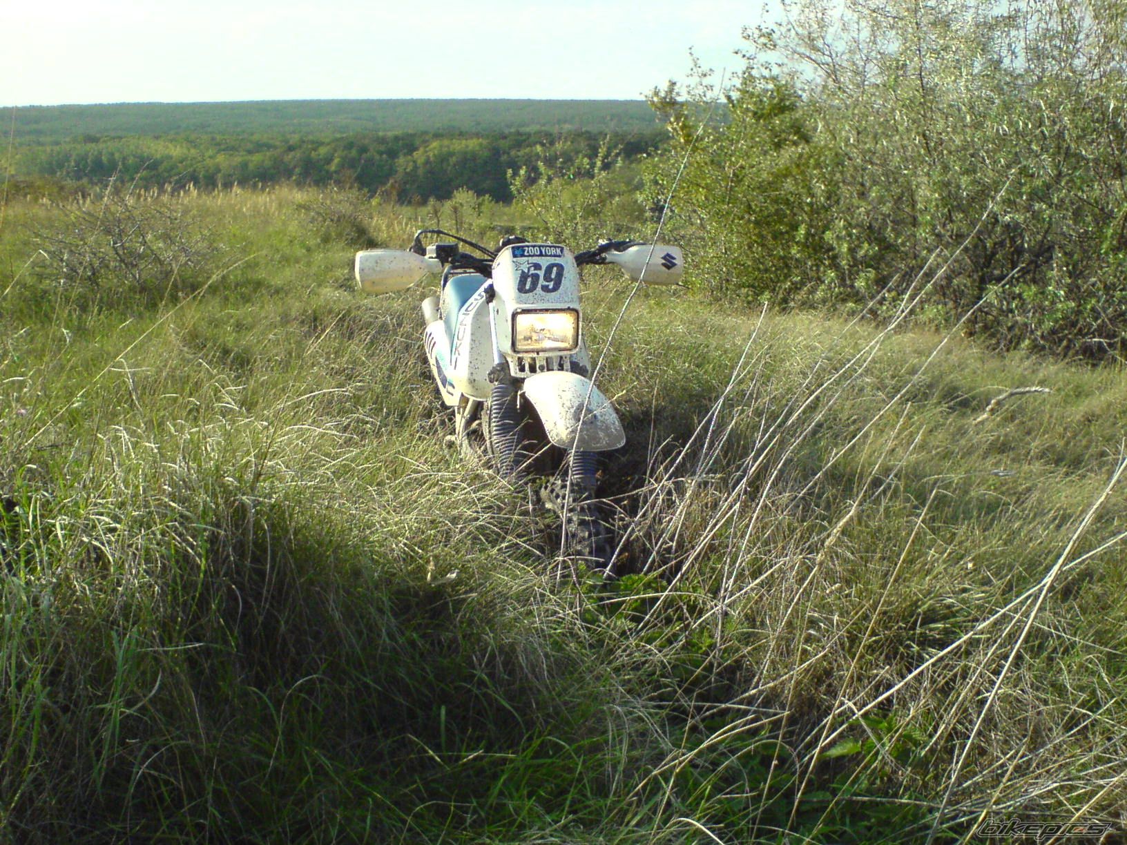 Photo 1134693