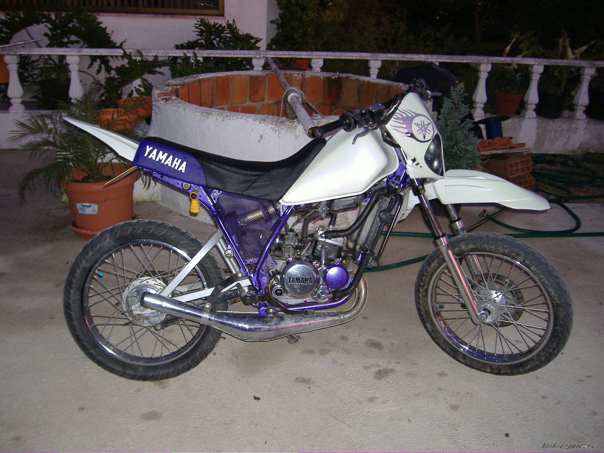 Photo 1134728