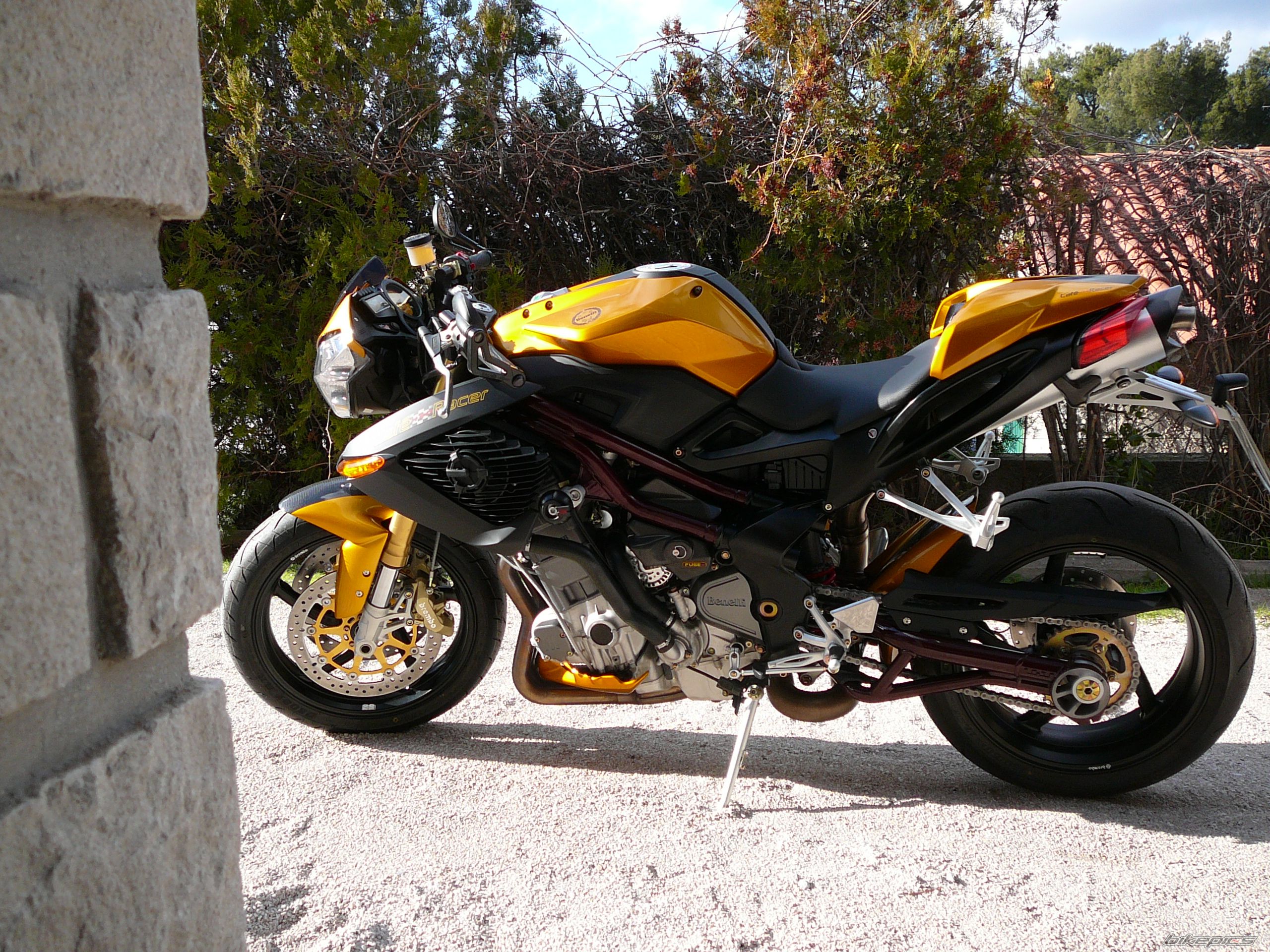 Photo 1134729